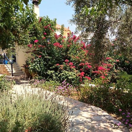 Angelica Villas Hotel Apartments Epidaurus Экстерьер фото