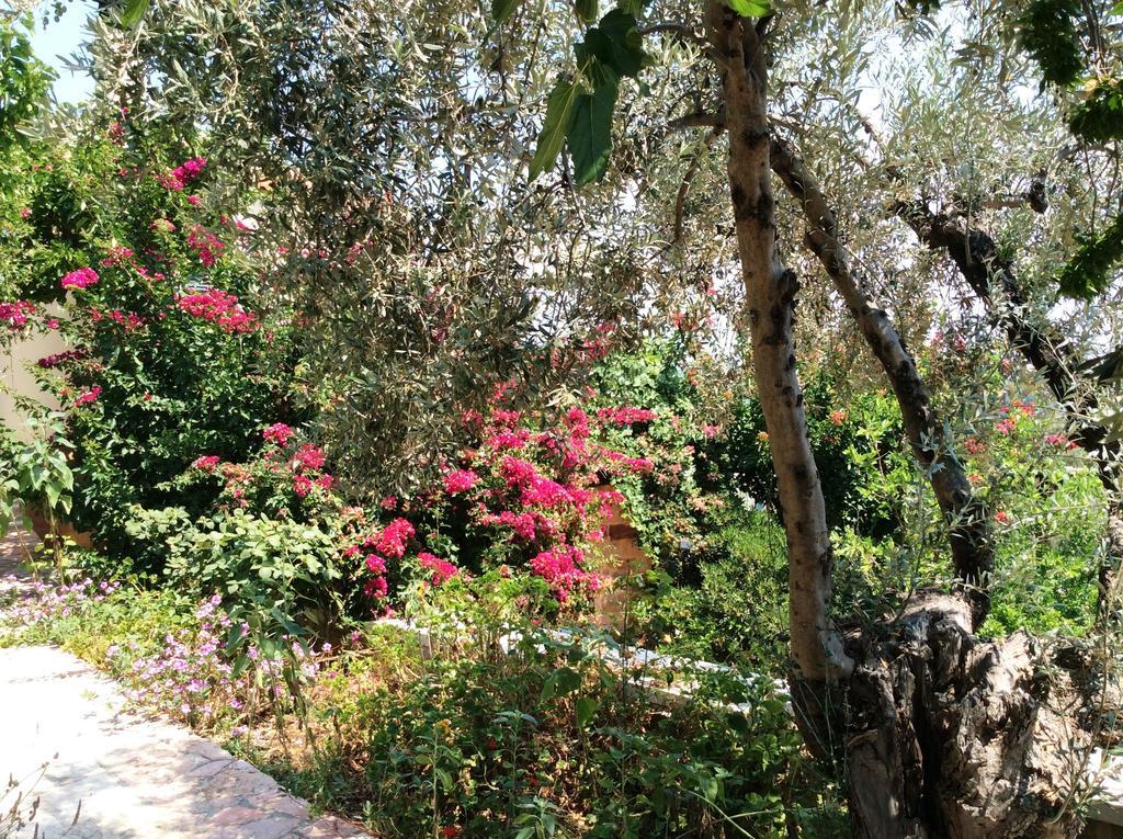 Angelica Villas Hotel Apartments Epidaurus Экстерьер фото