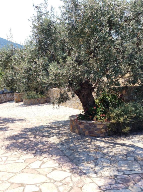 Angelica Villas Hotel Apartments Epidaurus Экстерьер фото