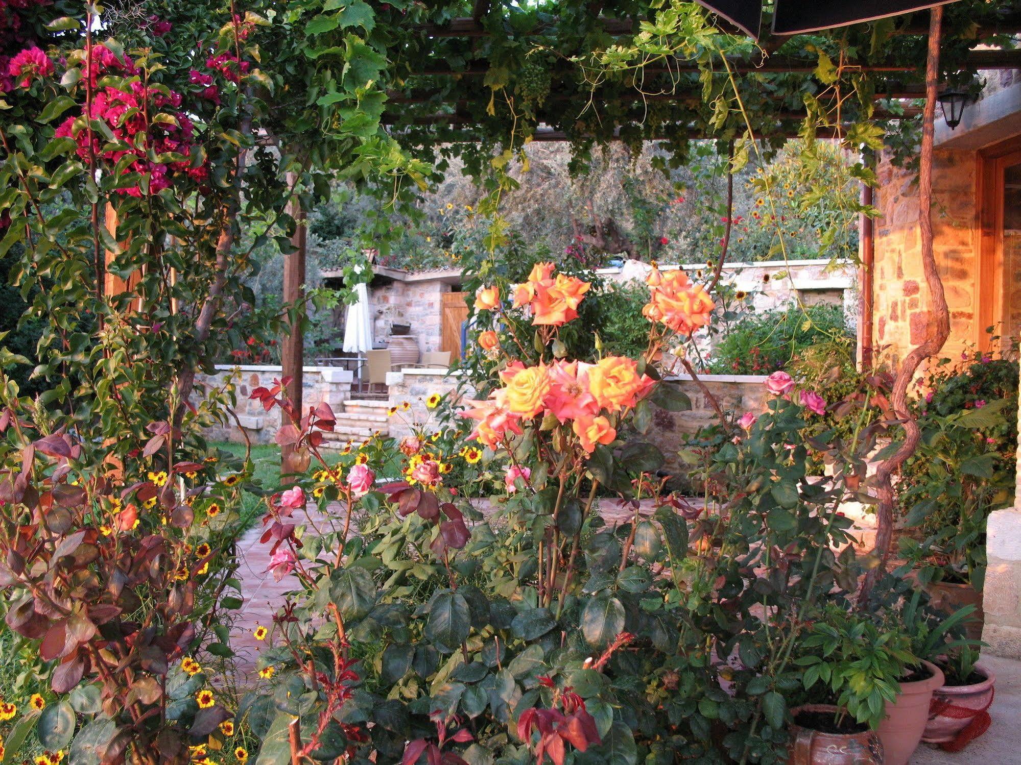 Angelica Villas Hotel Apartments Epidaurus Экстерьер фото